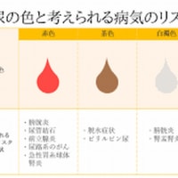 『腎臓』『腎臓と水分』『ビリルビン』