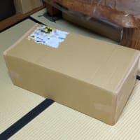 また東京から