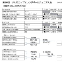 第16回いしびカップオレンジボール結果(3451)