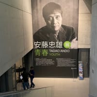 安藤忠雄展 青春