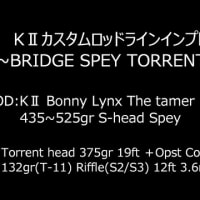 本日のラインインプレッション！！！～BRIDGE SPEY TORRENT HEAD ～