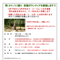 今年も竹の子掘りイベントを開催します！