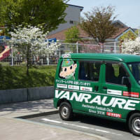 新緑の園庭