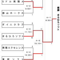 南陽市夏季大会結果