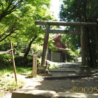 山の頂上で愛を考える旅... Part 1