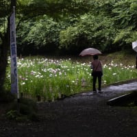 ６月１５日（日）　　第三回アビリティ　フォト写真展