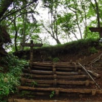 大倉～塔ノ岳～丹沢山～蛭ヶ岳（ピストン）