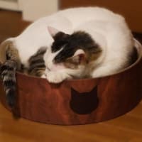 あきた！ですって？　もっ我が儘・・・