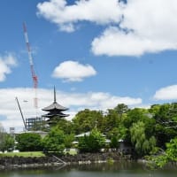 興福寺五重塔　令和大修理、始まる