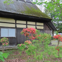 すっかり季節は移り変わり．．．