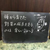 店頭黒板