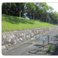１　グラウンドゴルフ：19回目　　早くも試技用セット配置済み