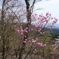 親父岳～黒岳～三尖 　5月3日(土)
