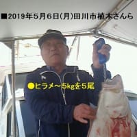 【大物釣果速報】ヒラマサ・マダイ・ヒラメ釣り５/１(水)～５/１０(金)