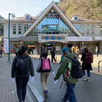 ４月の陽気に誘われて高尾山へ