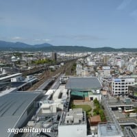 「ミナカ小田原」屋上庭園からの街並み、駅、城、相模湾を撮る！！