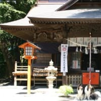 新倉浅間神社・公園
