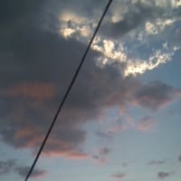 まだ騒がしいね
