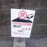 想い出の一枚