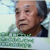梅原　猛　哲学者　1925～2019　「23」