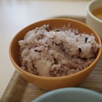 またまた国際大学の陽だまりレストランへ