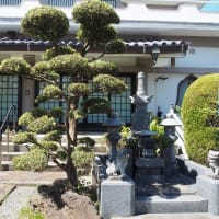 妙蓮寺　・　行願寺・・・共に有名寺院と同名　　京都市南区