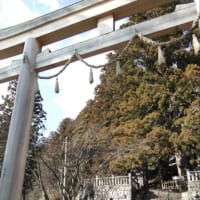 戸隠神社　中社　中社五斎神社　三本杉✨　へお礼参りに行きました　その②