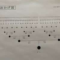 私達は種・タネである。