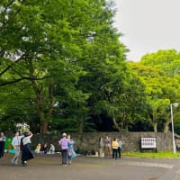【公園でピクニック＆ダンス】