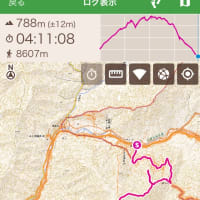 奈良旅で山に登る。ついでに迷子になりそうになる。迷子、遭難とも言う。