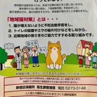 三菱ガス化学白河工場を見学 無会派 大竹功一の独り言 三菱ガス化学白河工場を見学 無会派 大竹功一の独り言