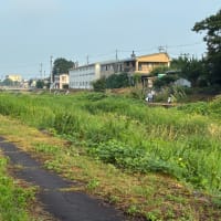 早起きして、夕寝٩( ᐛ )و