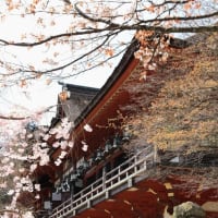 奈良　談山神社