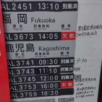 2025年5月31日(金)　屋久島観光の後、帰阪・・・？