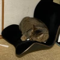そのブラシの上で
