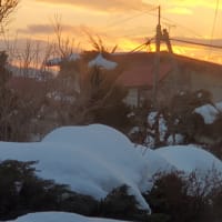 穏やかな時間🍀