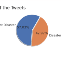 NLP With Disaster Tweets Prediction - BERT