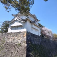 去年ですがもう過去のものになりました