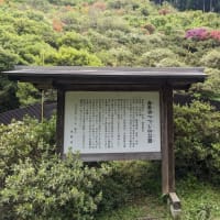 赤野田つつじ山公園