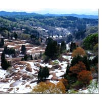十日町　星峠　残雪の棚田
