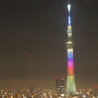 日向坂46の虹開催記念特別ライティング5