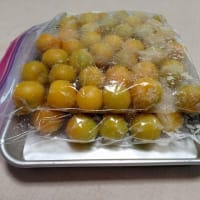 梅しごと②