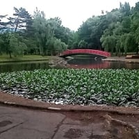 ２０２５年6月25日の越後湯沢
