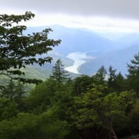 井川・笹山周辺を散策♪