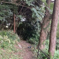 春日山作業