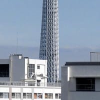 2025/6/16の朝の東京スカイツリー