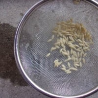余りの暑さで