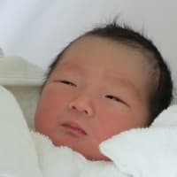 日本ロングライフ 株 社長 桜井ひろみ著 船上のダンスパーティ を読んだ 私のメトロノーム セピア色