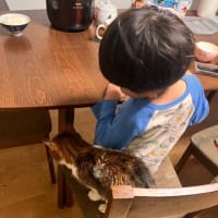 近づいてきてます※追記あり