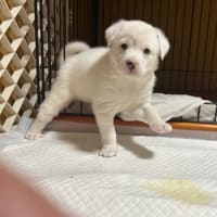 みなと、最終日